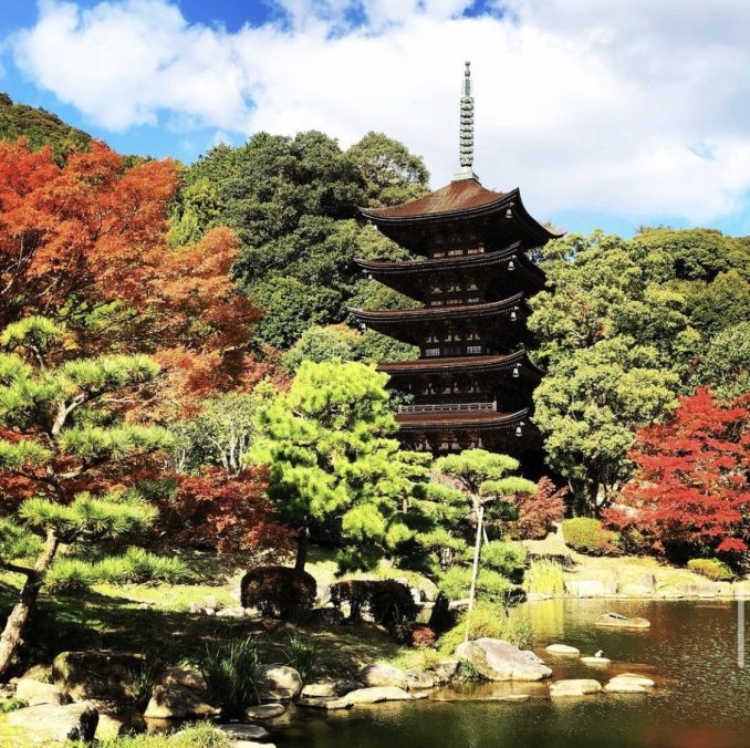 国宝瑠璃光寺五重塔と湯田温泉で昼会席