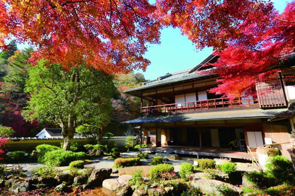 山陰の小京都津和野と堀庭園の紅葉