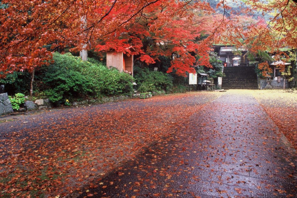 秋月城址と大興禅寺の紅葉と原鶴温泉