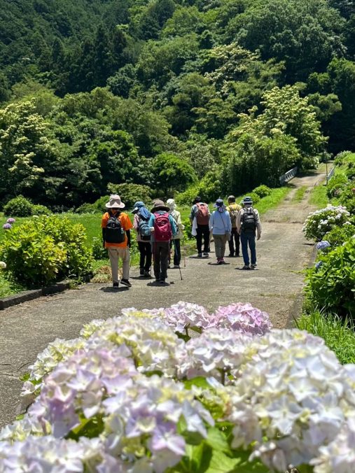 五感で楽しむ森林セラピーウォーキング<br />
豊前・枝川内あじさいコース