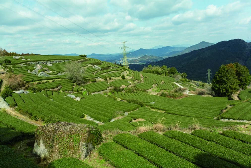 九州オルレ 嬉野コース