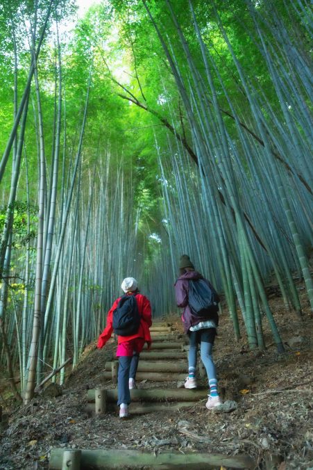 九州オルレ みやま・清水山コース