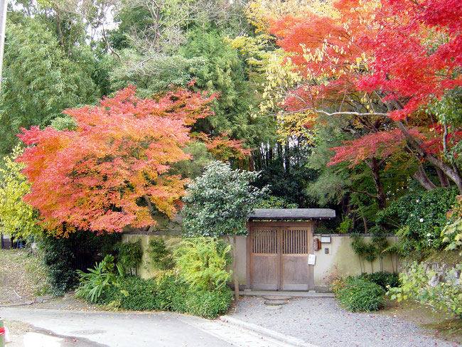 瀬戸内寂聴ゆかりの「寂庵」特別拝観と湯の花温泉