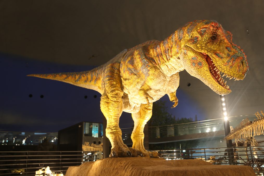 福井県立恐竜博物館と日本自動車博物館・月うさぎの里