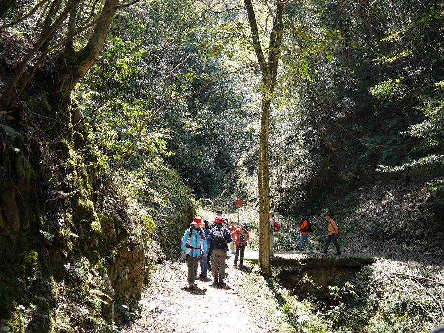 五感で楽しむ森林セラピーウォーキング<br />
愛鳥林セラピーロード