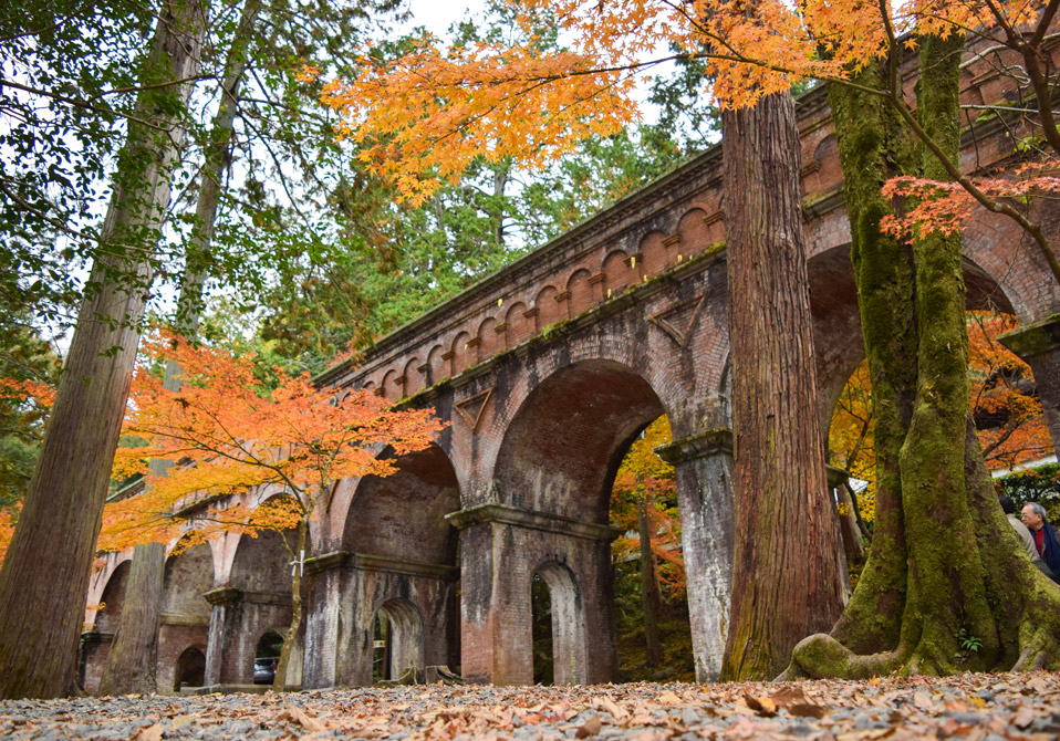 琵琶湖疏水ウォーク《第2回》山科から南禅寺まで