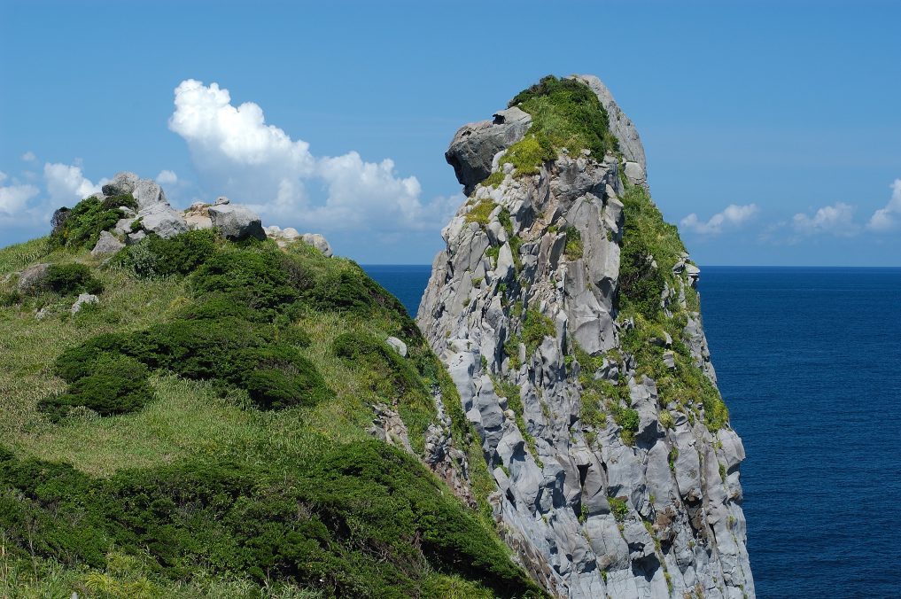 たっぷり壱岐の島