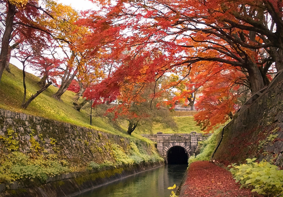 琵琶湖疏水ウォーク《第1回》三井寺から山科まで