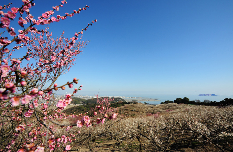 赤穂の塩づくり体験と綾部山梅林見学