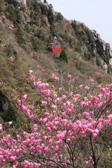 伊勢国一の宮・椿大神社と御在所岳